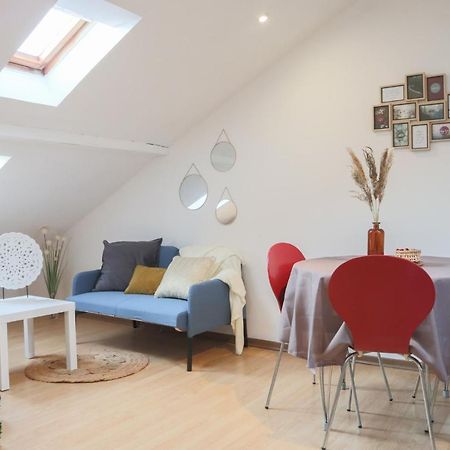 Apartament Le Petit Loft, Mulhouse Centre Zewnętrze zdjęcie