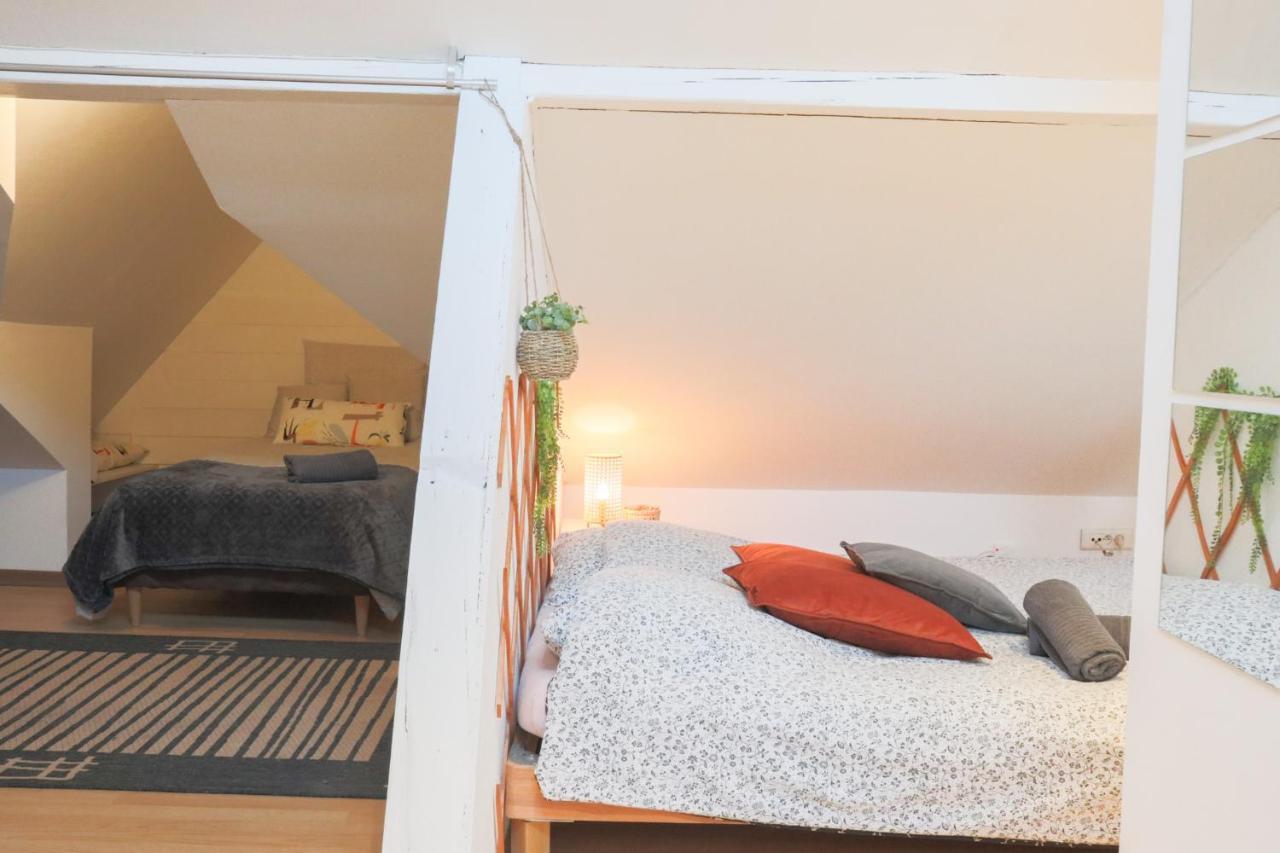 Apartament Le Petit Loft, Mulhouse Centre Zewnętrze zdjęcie