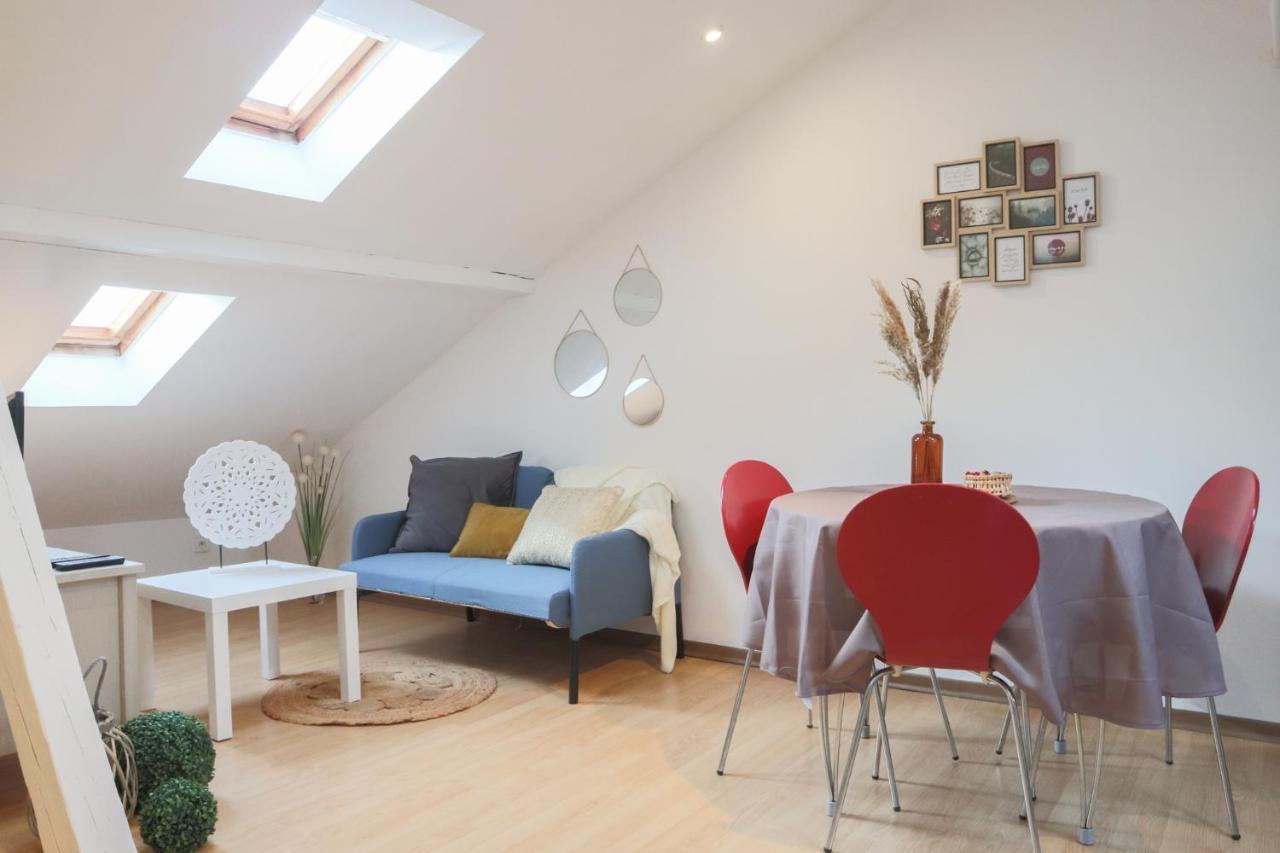 Apartament Le Petit Loft, Mulhouse Centre Zewnętrze zdjęcie