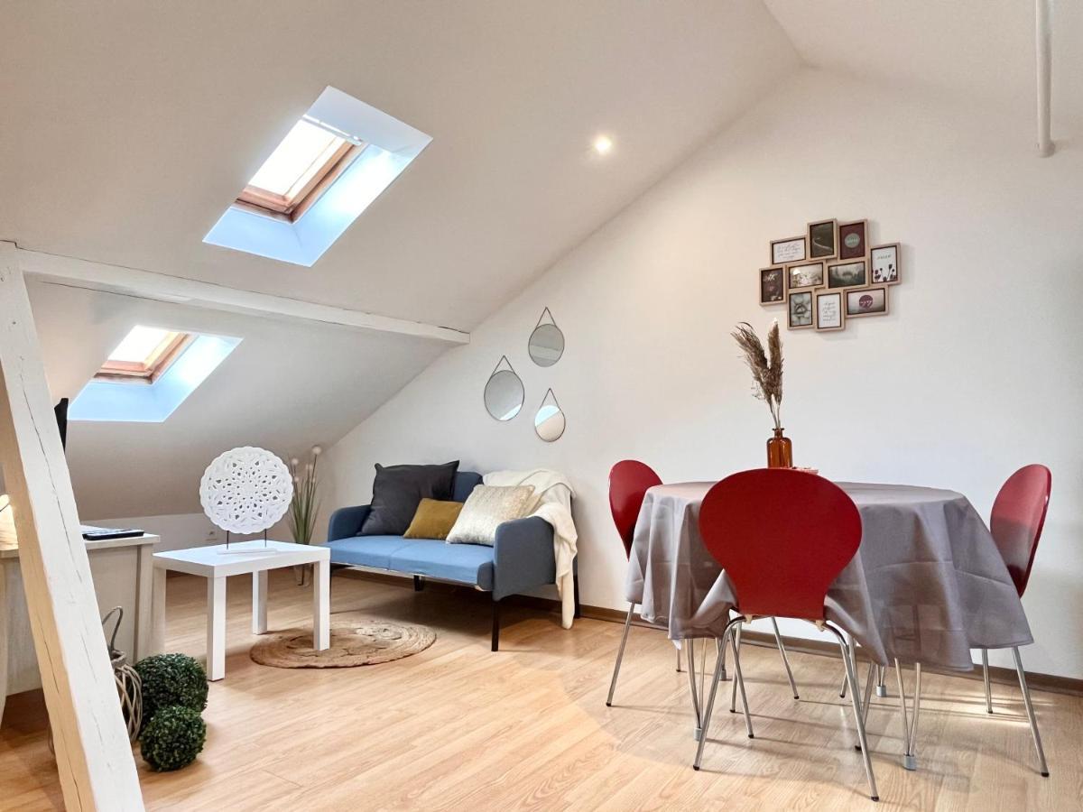 Apartament Le Petit Loft, Mulhouse Centre Zewnętrze zdjęcie