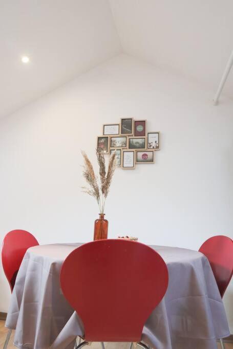 Apartament Le Petit Loft, Mulhouse Centre Zewnętrze zdjęcie