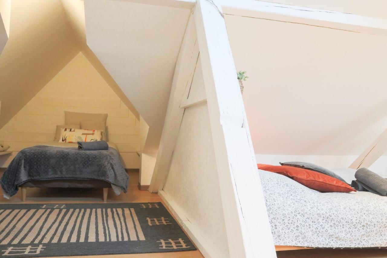 Apartament Le Petit Loft, Mulhouse Centre Zewnętrze zdjęcie