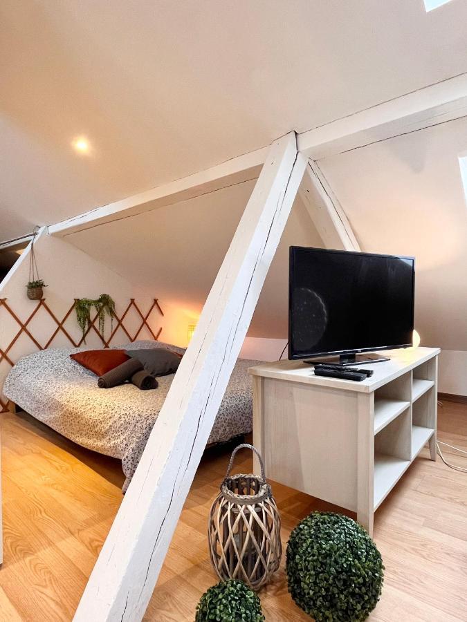 Apartament Le Petit Loft, Mulhouse Centre Zewnętrze zdjęcie